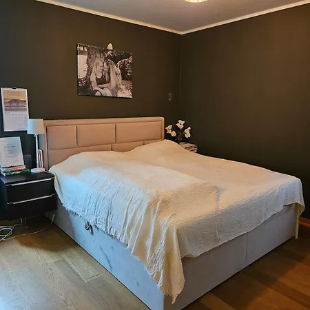 Lägenhet Penthouse By The And Marina, 320 M2 *